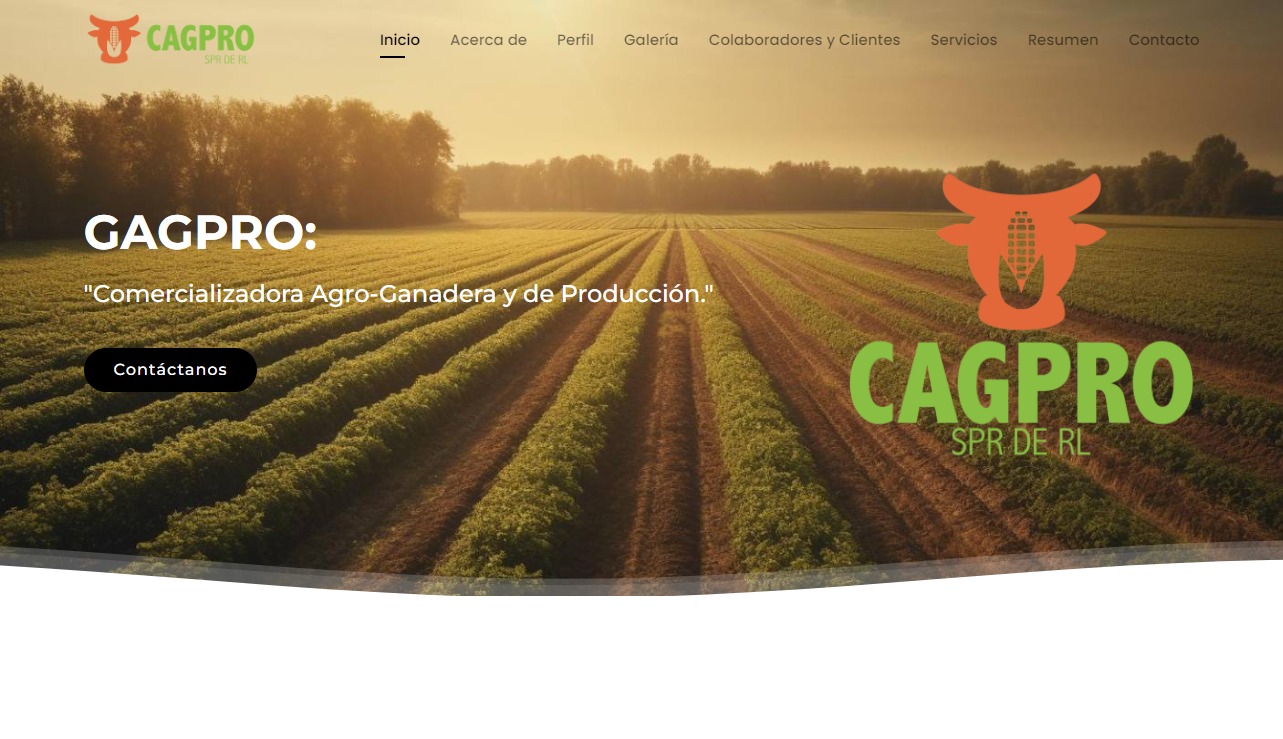 Sitio web Cagpro